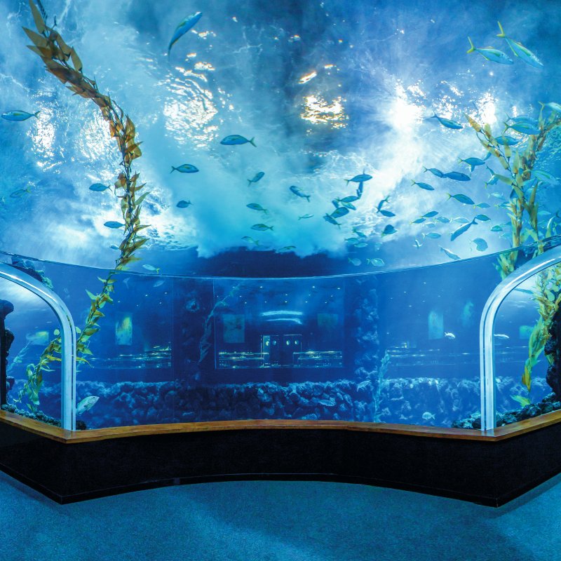 Poema del Mar Aquarium Gran Canaria